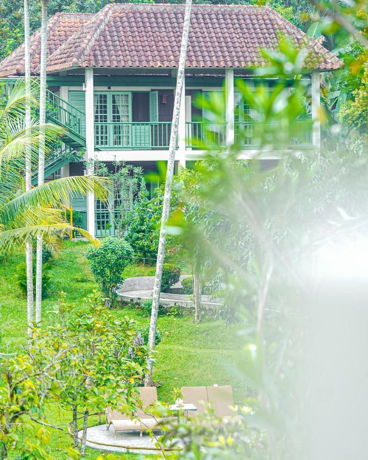 Bukit Lawang Tour at Deluxe Cottage